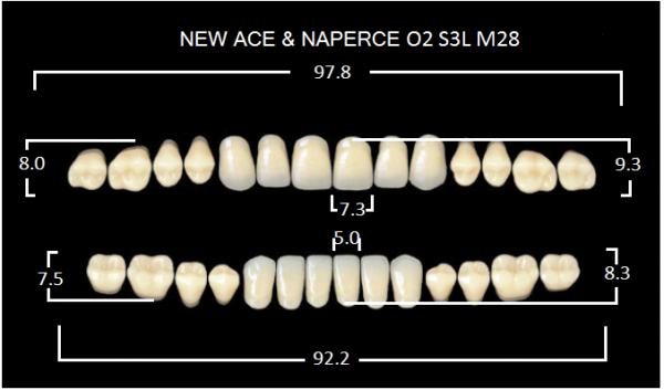 Yamahachi Gloria New Ace & Naperce B1 O2/M28 - акриловые двухслойные зубы