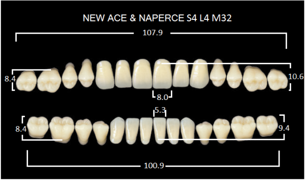 Yamahachi Gloria New Ace & Naperce B1 S4/M32 - акриловые двухслойные зубы