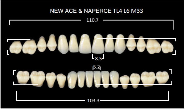 Yamahachi Gloria New Ace & Naperce B1 TL4/M33 - акриловые двухслойные зубы
