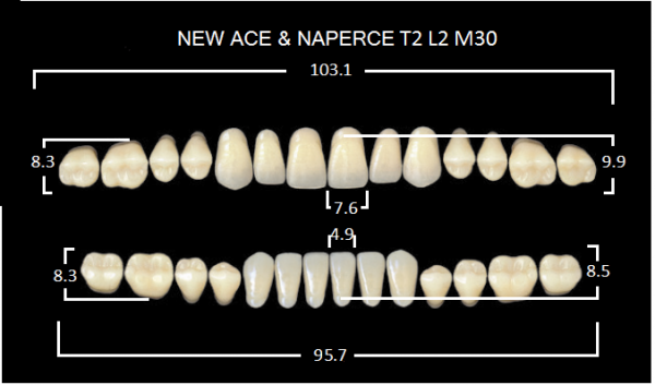 Yamahachi Gloria New Ace & Naperce A1 T2/M30 - акриловые двухслойные зубы
