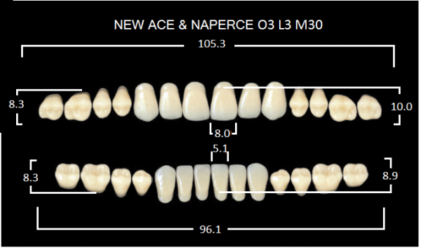 Yamahachi Gloria New Ace & Naperce B1 O3/M30 - акриловые двухслойные зубы