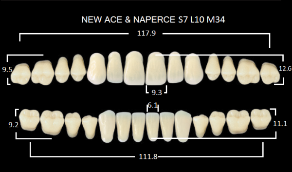 Yamahachi Gloria New Ace & Naperce B1 S7/M34 - акриловые двухслойные зубы