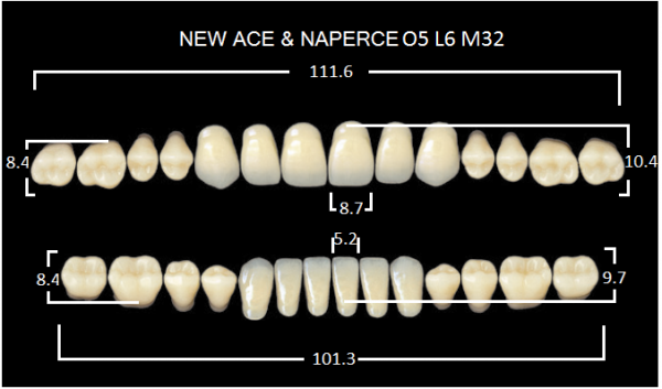 Yamahachi Gloria New Ace & Naperce A1 O5/M32 - акриловые двухслойные зубы