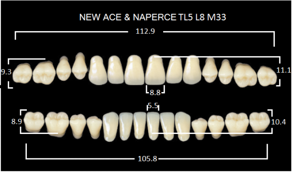 Yamahachi Gloria New Ace & Naperce A1 TL5/M33 - акриловые двухслойные зубы