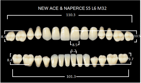 Yamahachi Gloria New Ace & Naperce C1 S5/M32 - акриловые двухслойные зубы