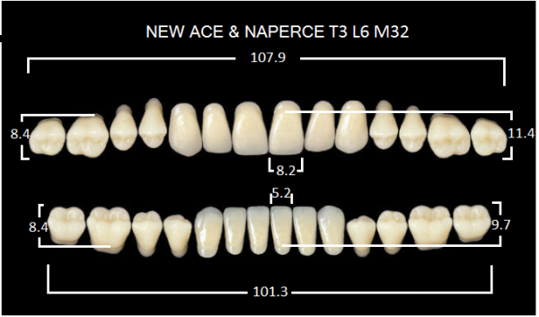 Yamahachi Gloria New Ace & Naperce B1 T3/M32 - акриловые двухслойные зубы
