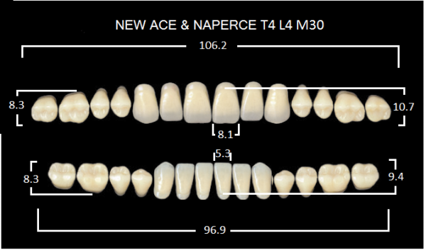 Yamahachi Gloria New Ace & Naperce B4 T4/M30 - акриловые двухслойные зубы