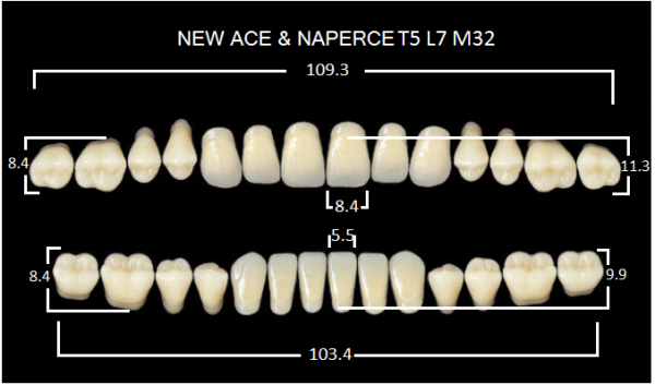 Yamahachi Gloria New Ace & Naperce A3 T5/M32 - акриловые двухслойные зубы