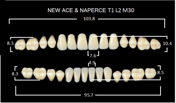 Yamahachi Gloria New Ace & Naperce D3 T1/M30 - акриловые двухслойные зубы