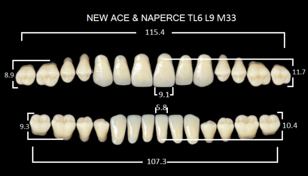 Yamahachi Gloria New Ace & Naperce B1 TL6/M32 - акриловые двухслойные зубы