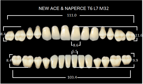 Yamahachi Gloria New Ace & Naperce B1 T6/M32 - акриловые двухслойные зубы