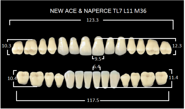 Yamahachi Gloria New Ace & Naperce B1 TL7/М36 - акриловые двухслойные зубы