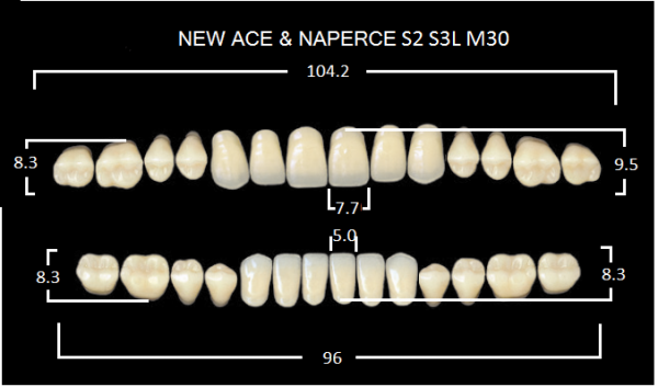 Yamahachi Gloria New Ace & Naperce A2 S2/M30 - акриловые двухслойные зубы