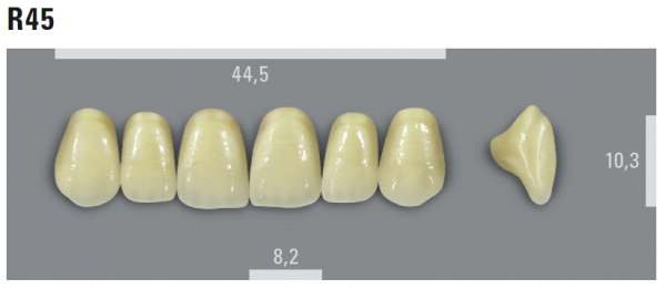 VITA MFT фронтальные верхние зубы, цвет 1M1 (B1), размер R45, 6 шт.